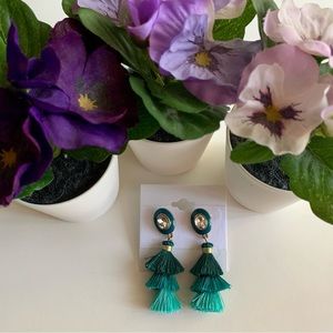 Sea Green Fringe Earrings